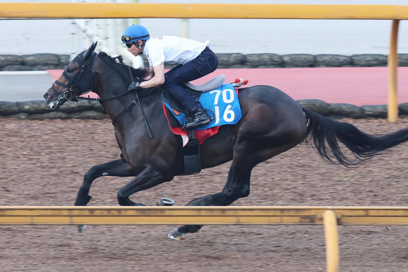武豊騎手が騎乗し、併せ馬に先着するサブマリーナ