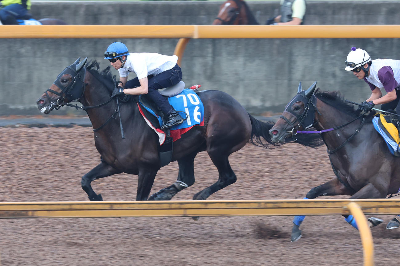 武豊騎手が騎乗し、併せ馬に先着するサブマリーナ（左）