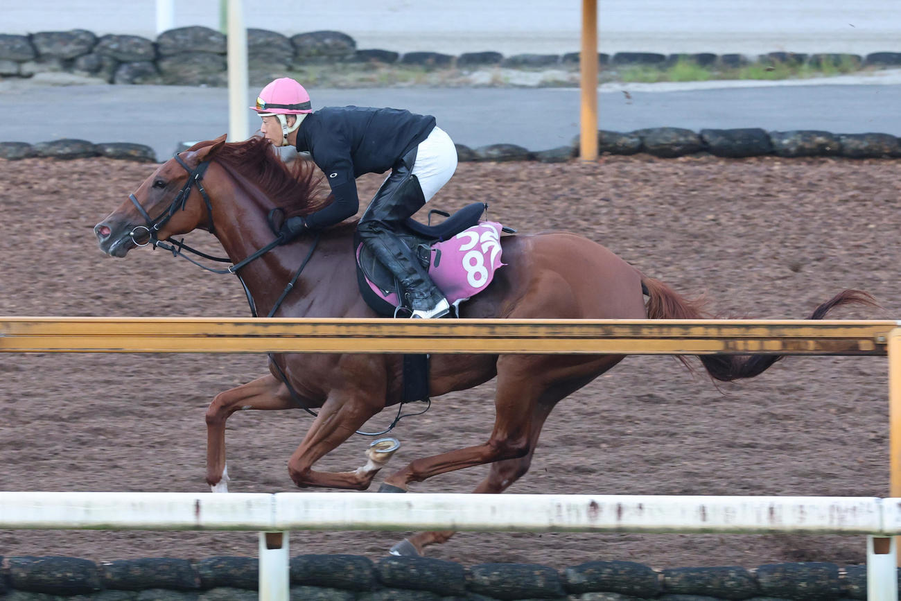 Cウッドを馬なり単走で追い切るタガノアビー