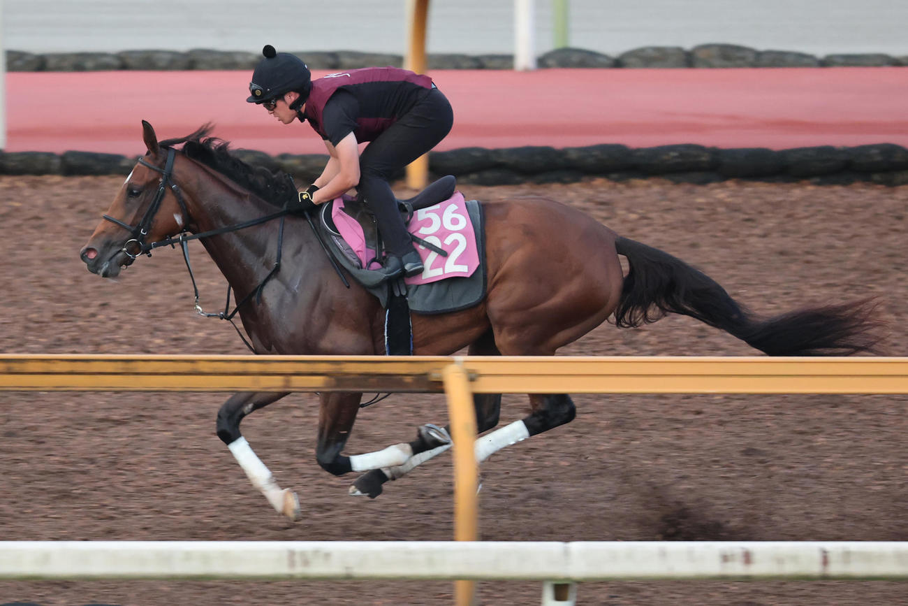 Cウッドを馬なりで時計を出したミッキージュエリー