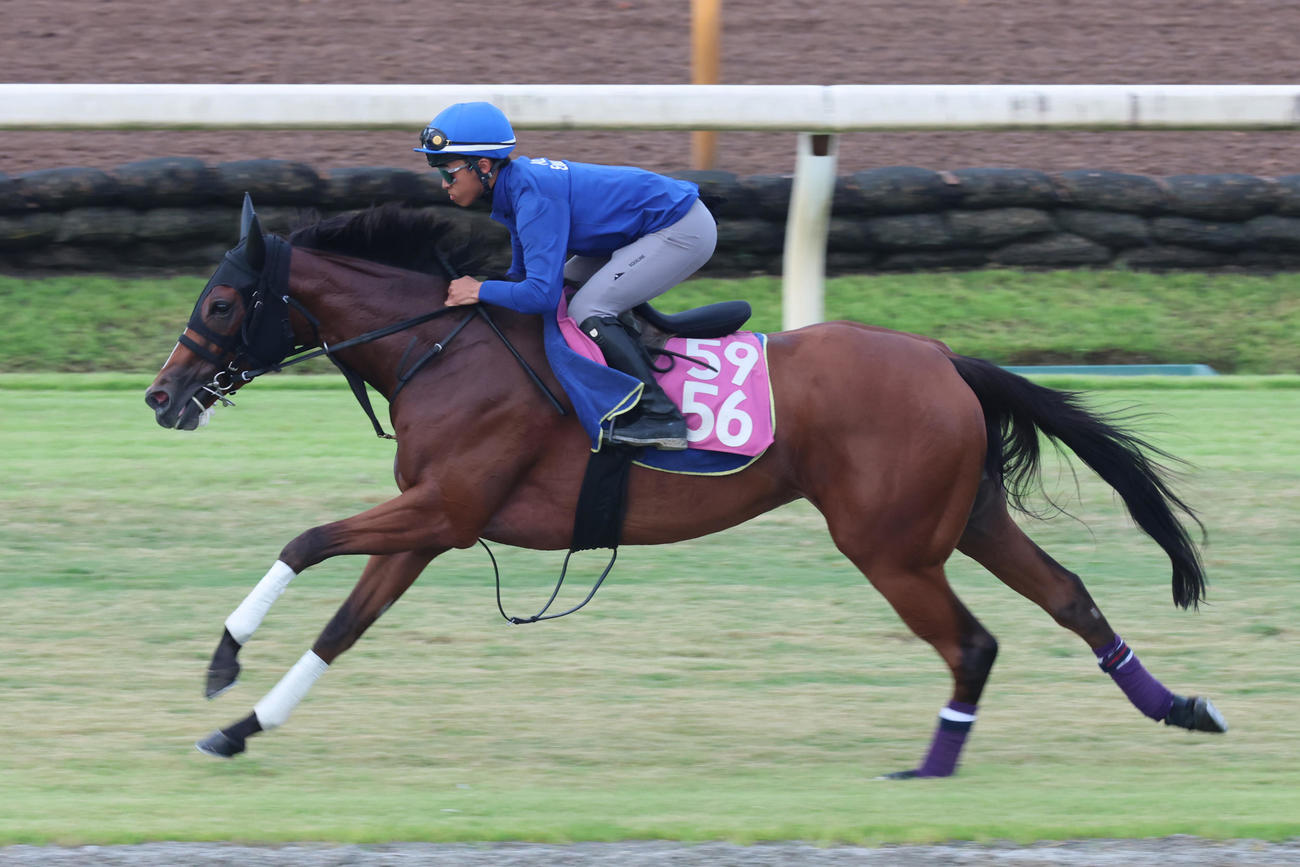芝コースを疾走するルージュソリテール