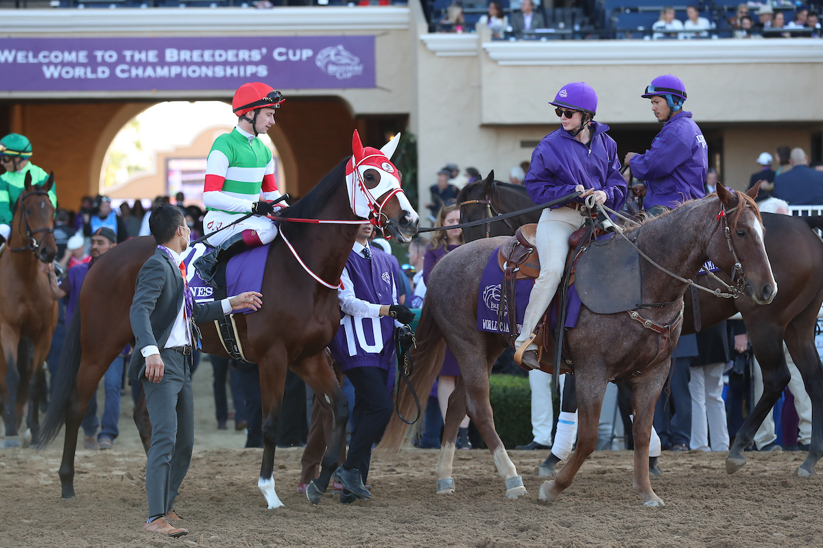 先導するメアリーさん（（C）Shamela Hanley／Breeders’Cup／Eclipse Sportswire）