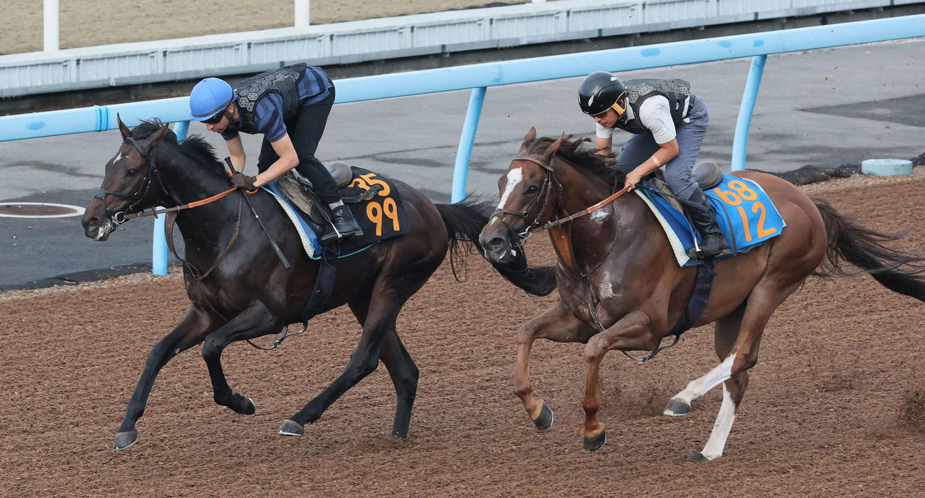 ファイアンクランツ（左）はモレイラ騎手を背にグランプレジールと併せ馬で追い切られた（撮影・丹羽敏通）