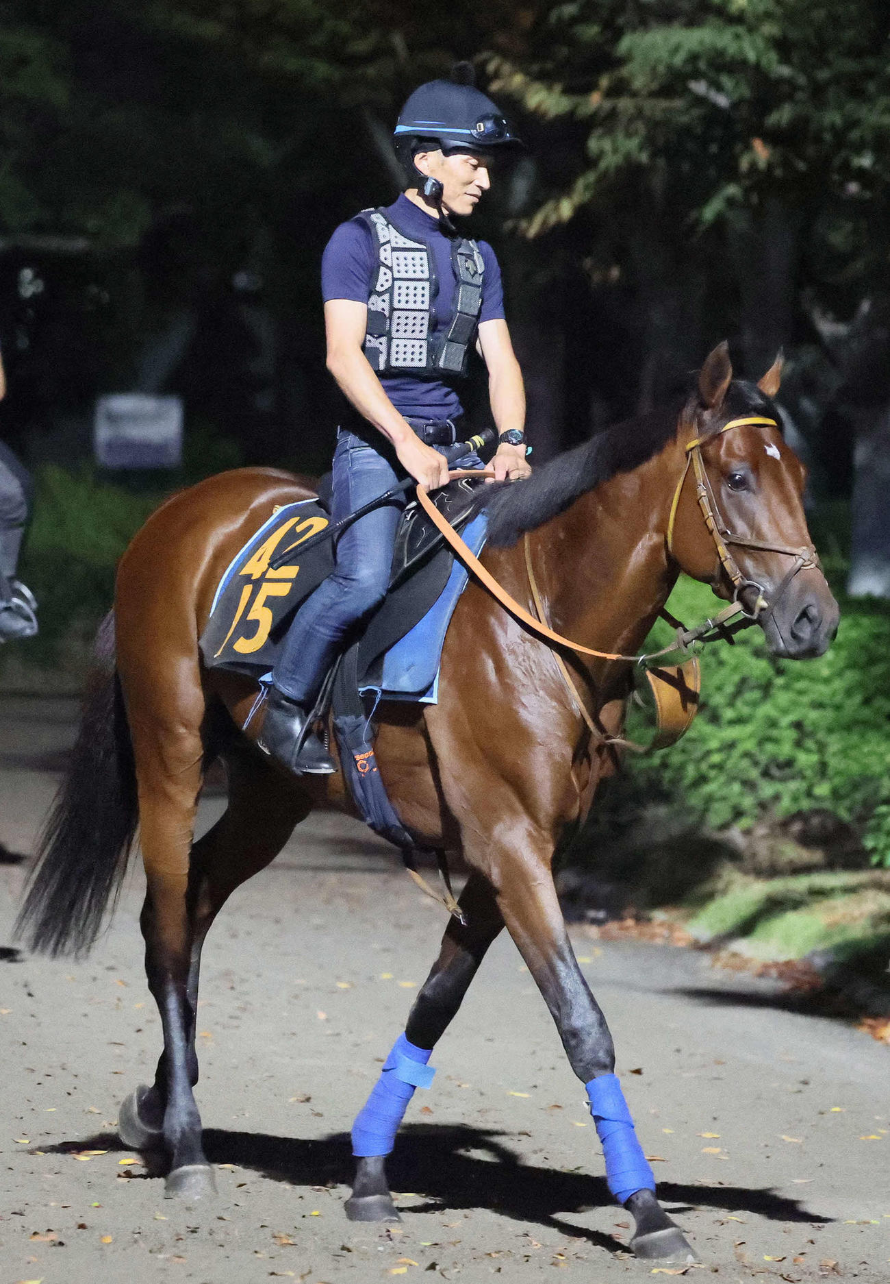 輪乗りをして馬場の開門を待つサクラファレル（撮影・丹羽敏通）