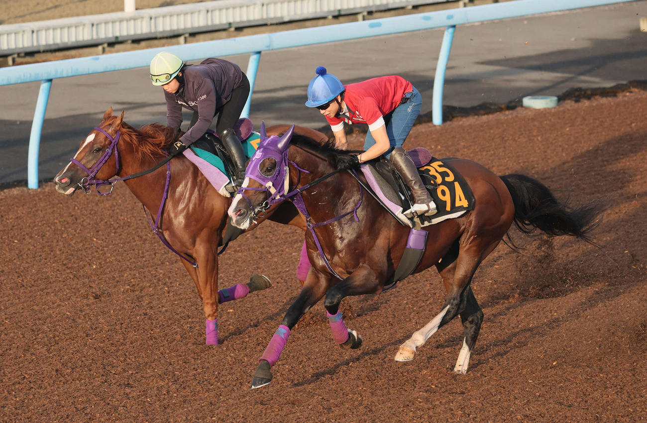 ビーオンザカバー（手前）は美浦ウッドを併せ馬で追い切られた（撮影・丹羽敏通）