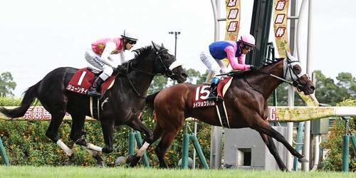 神戸新聞杯を制したメイショウタバル=2024年9月22日、中京競馬場