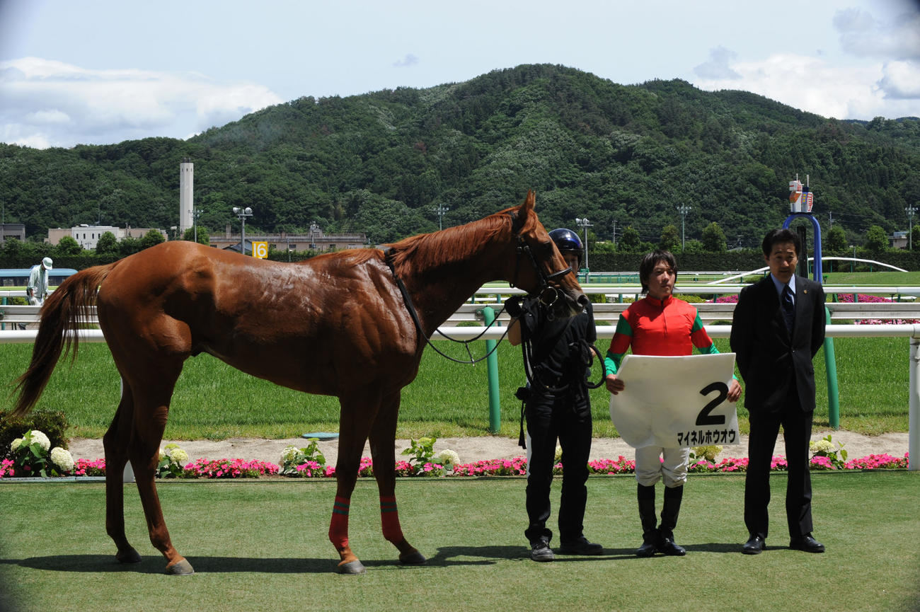 12年新馬戦を快勝したマイネルホウオウ