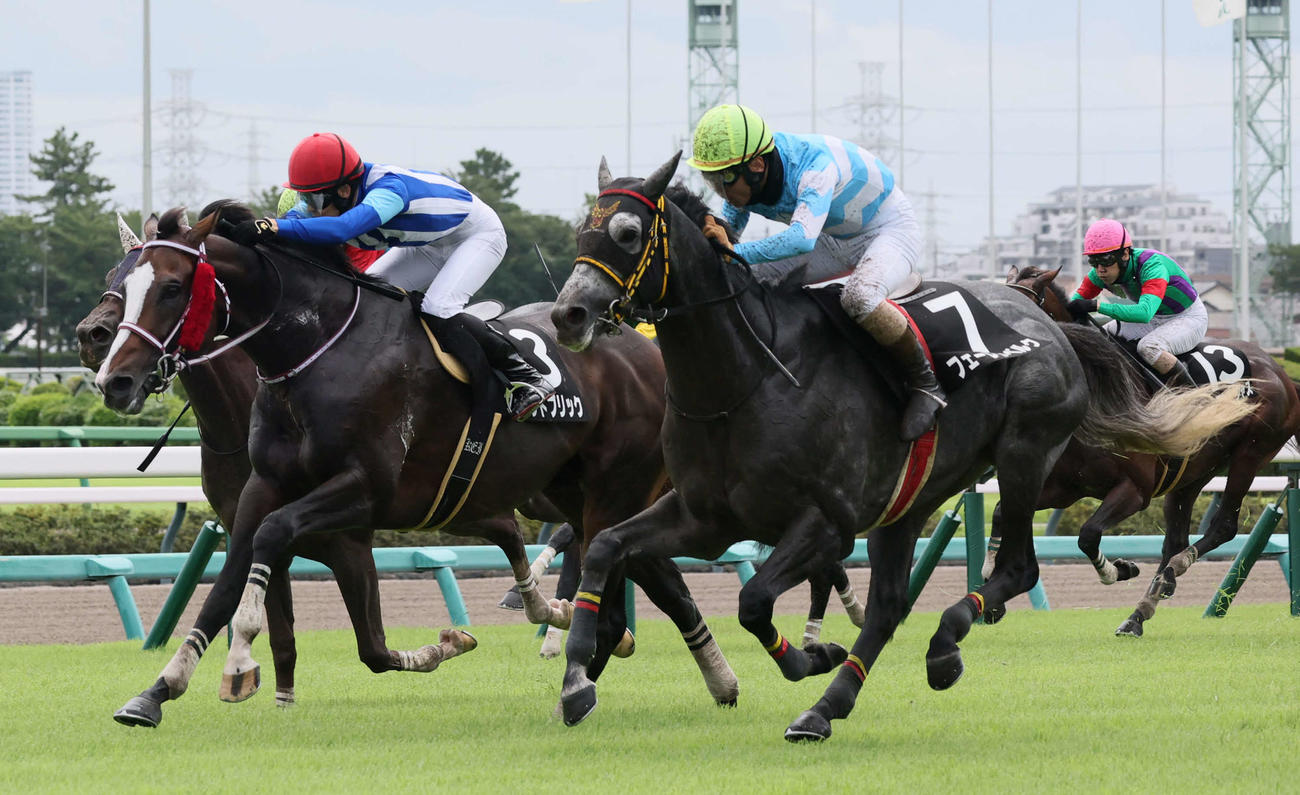 中山4R、清秋JSを制したフェーレンベルクと高田騎手（撮影・丹羽敏通）