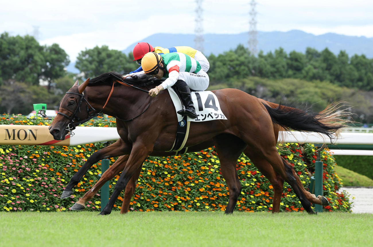 エンベッカで阪神7Rを制し復帰後初勝利を挙げた西村淳騎手（撮影・白石智彦）