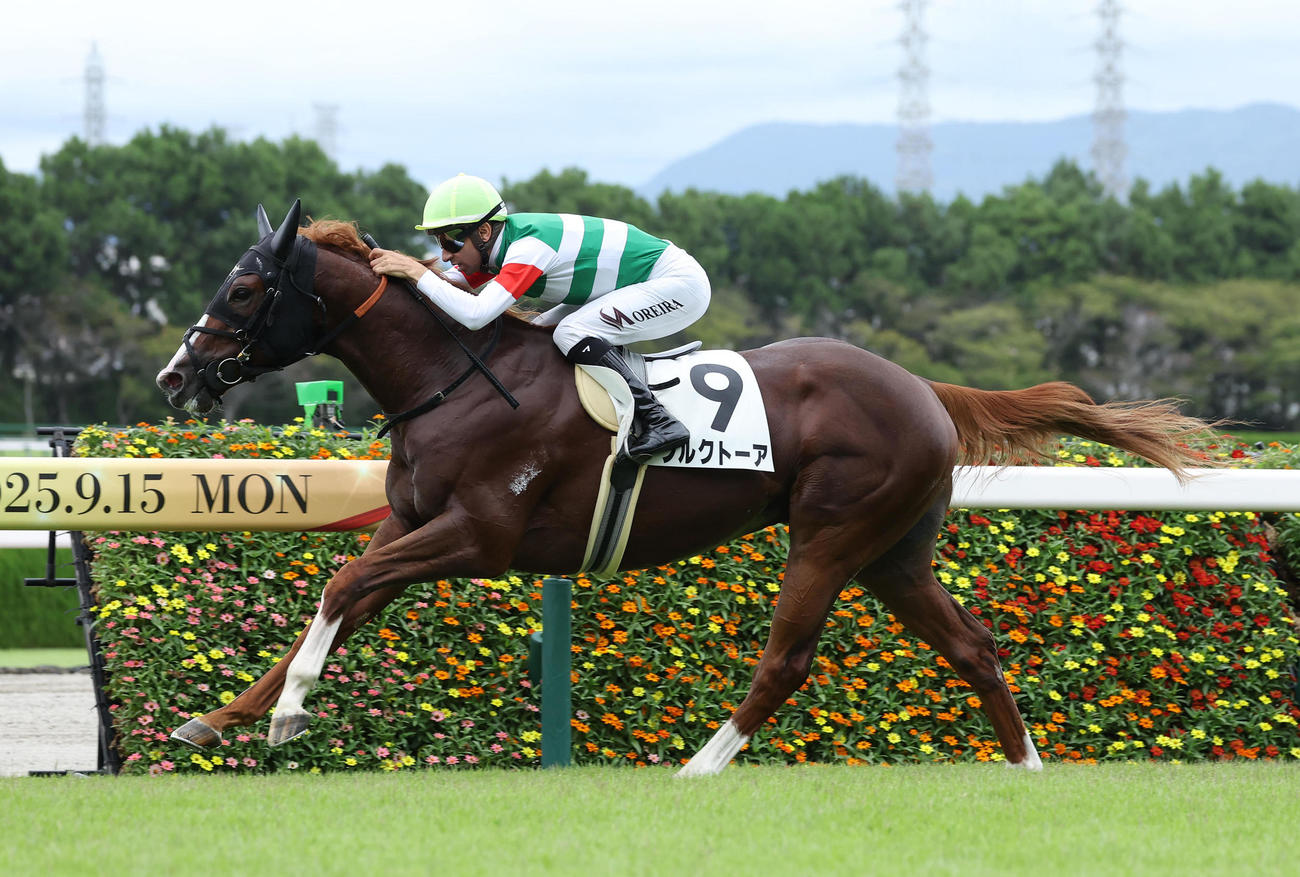 阪神9R3歳以上1勝クラスを制したブルクトーアとモレイラ騎手（撮影・白石智彦）