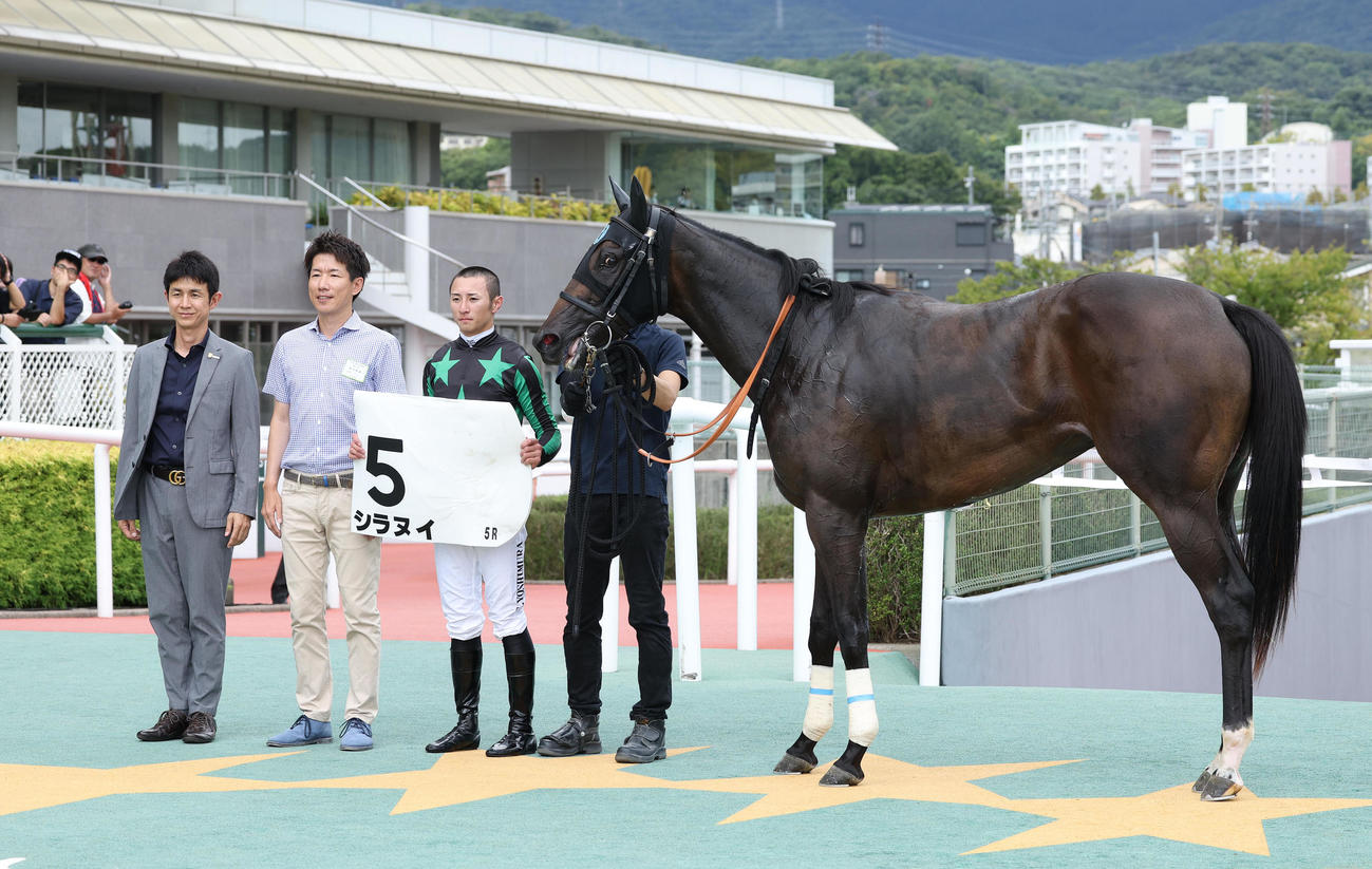 阪神5R、新馬戦を勝利したシラヌイと口取りに並ぶ吉村騎手（右から2人目）（撮影・白石智彦）