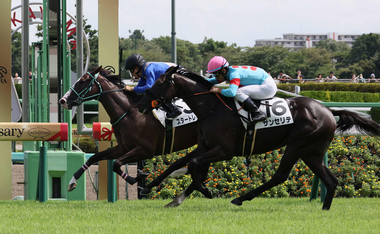 中山5R、2歳新馬戦を制したスタートレインと佐々木騎手（奥）。手前は2着サンセリテ（撮影・丹羽敏通）