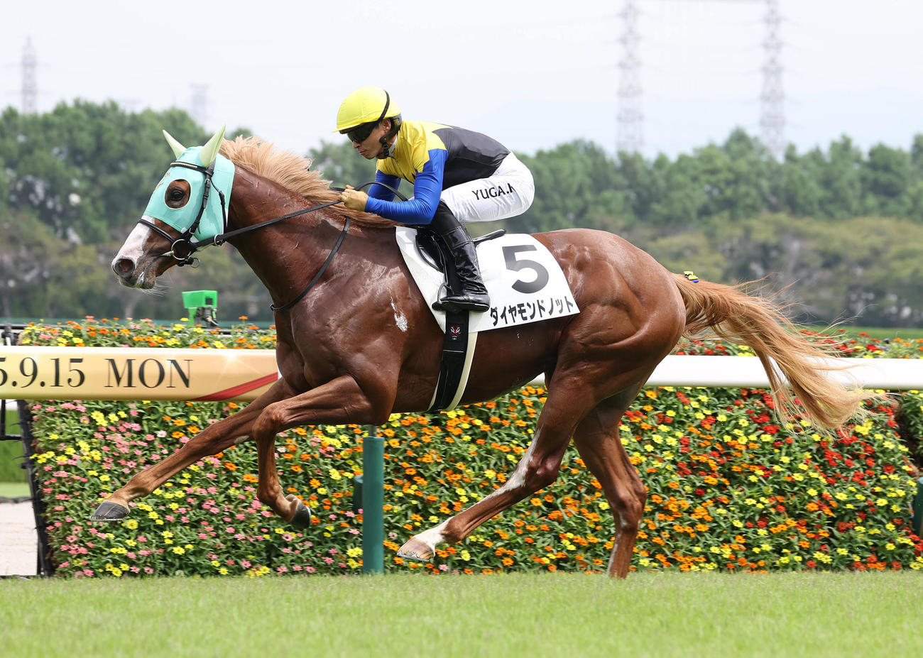 ダイヤモンドノットで阪神2Rを勝利してJRA通算2200勝を達成した川田騎手（撮影・白石智彦）