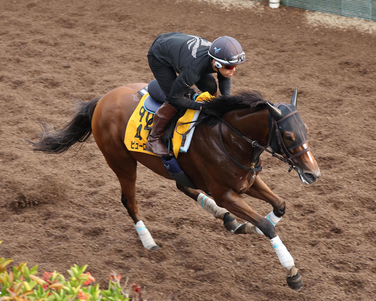 ピューロマジック（2025年9月10日撮影）