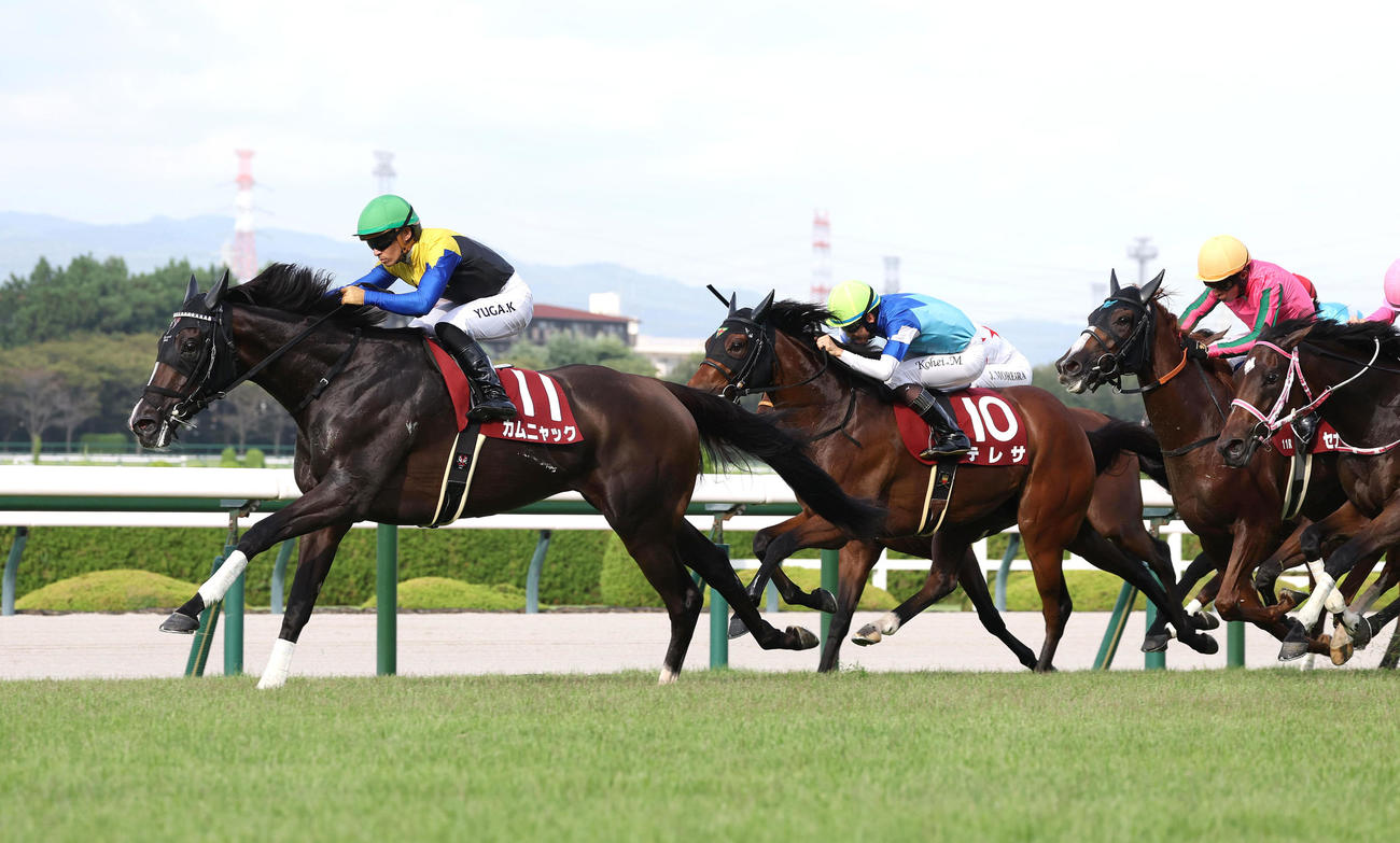 直線抜け出してローズSを制したカムニャック（左）（撮影・白石智彦）