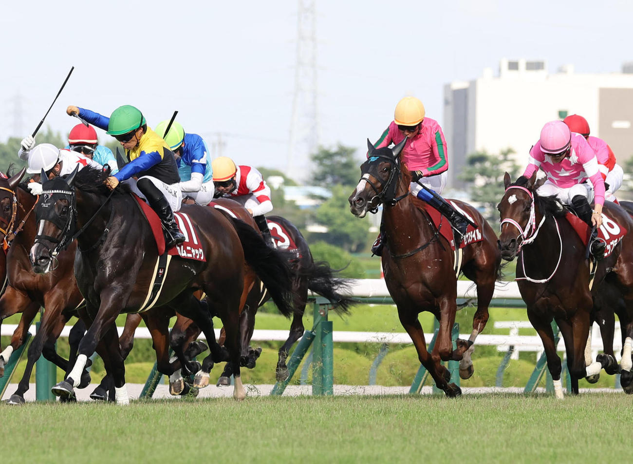 ローズS3着のセナスタイル（右から2頭目）左は勝ったカムニャック（撮影・白石智彦）