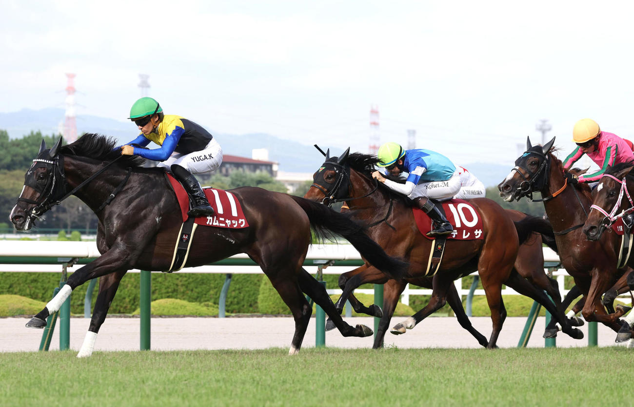 ローズS2着に入ったテレサ（左から2頭目）左は勝ったカムニャック
