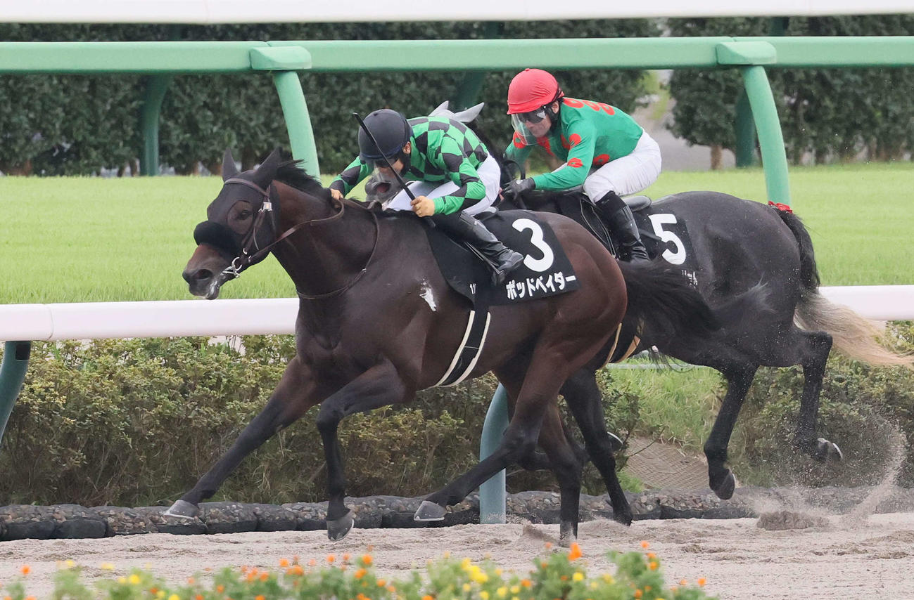 ラジオ日本賞を制したポッドベイダーと荻野極騎手（手前）。奥は2着ジョーローリット（撮影・丹羽敏通）