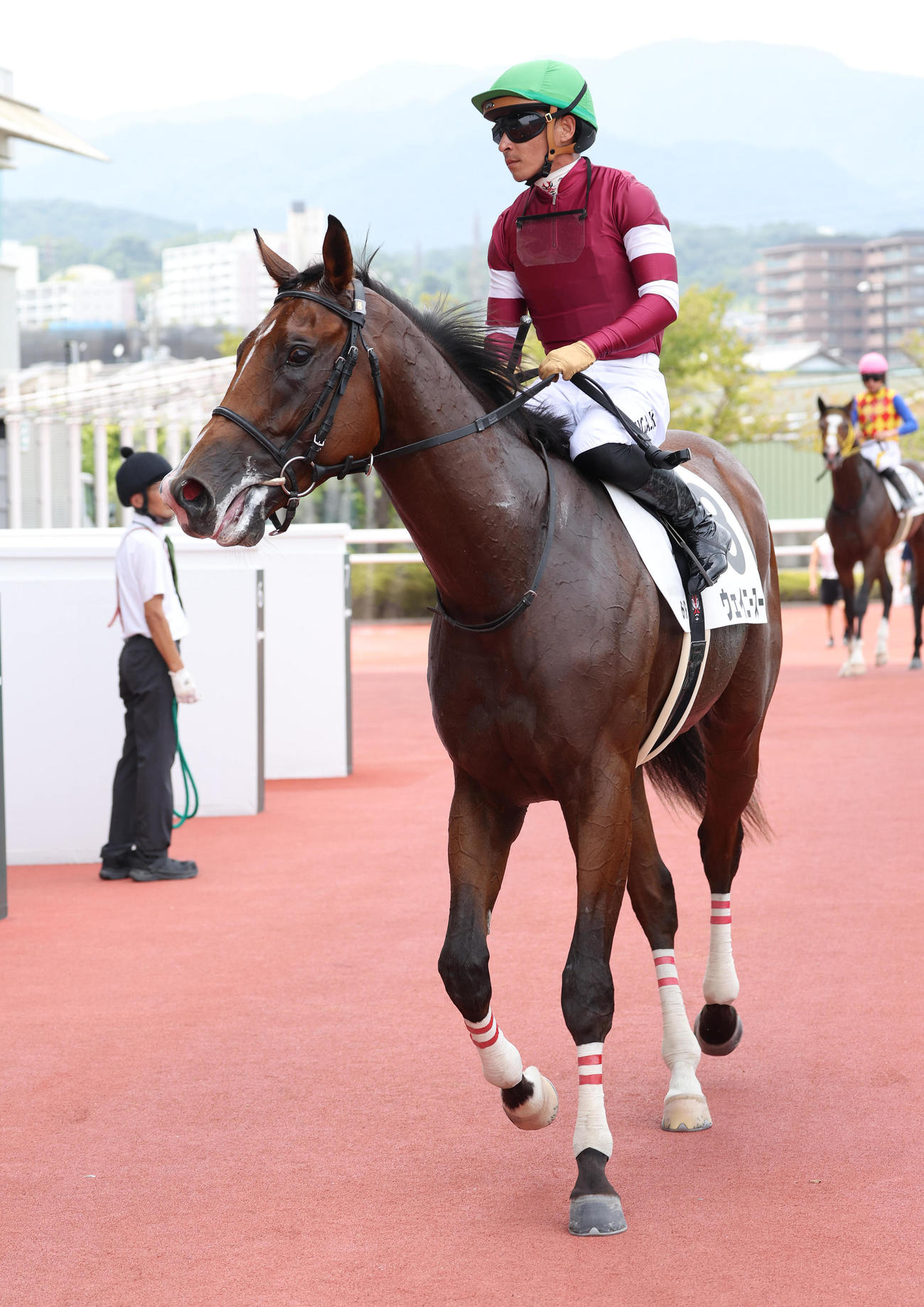 阪神6R、新馬戦を快勝したウェイニースー（撮影・白石智彦）