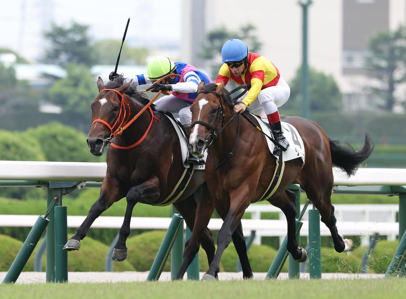 ジャスティンルマン（右）との競り合いを制して新馬戦を勝利したブルースカイブルー（撮影・白石智彦）