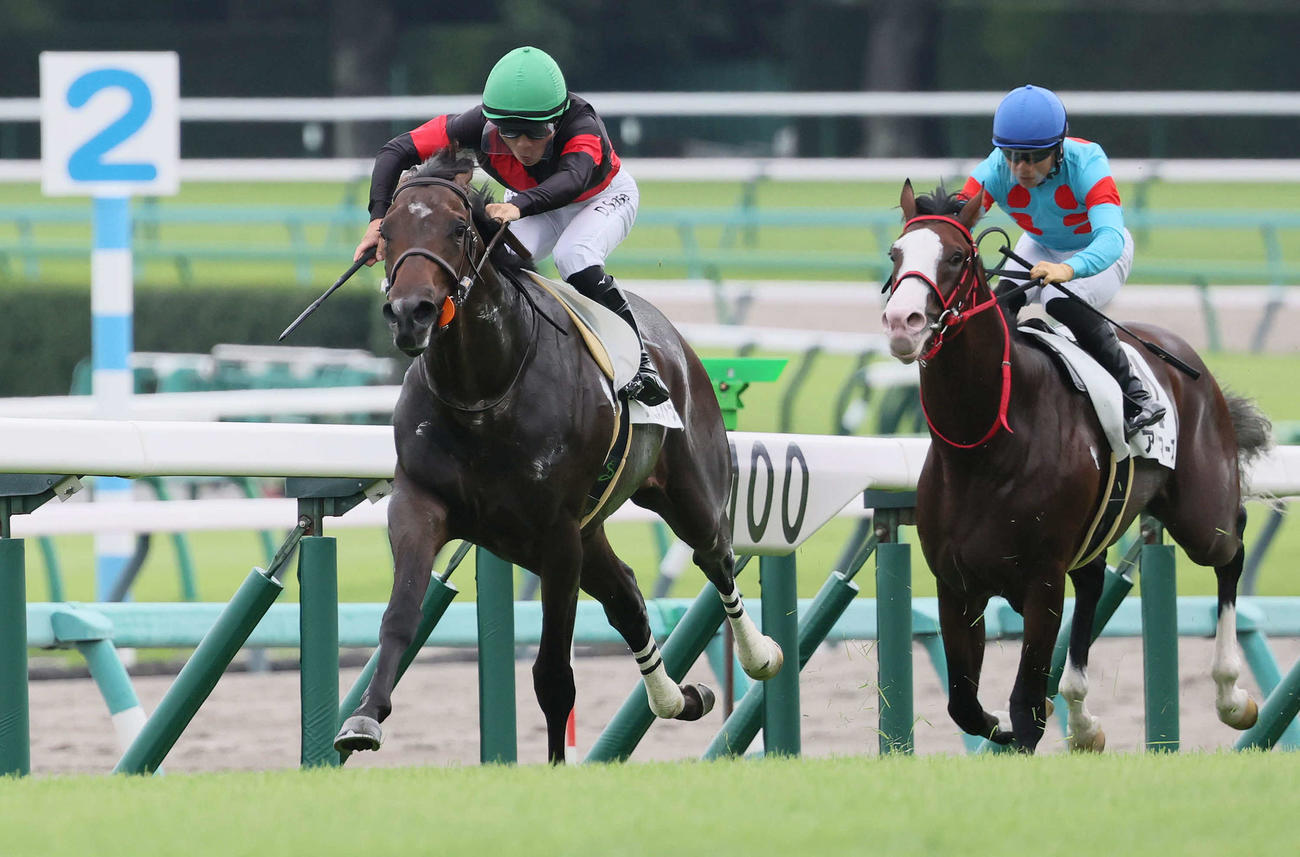 中山5R、2歳新馬戦を制したライヒスアドラーと佐々木騎手（左）（撮影・丹羽敏通）