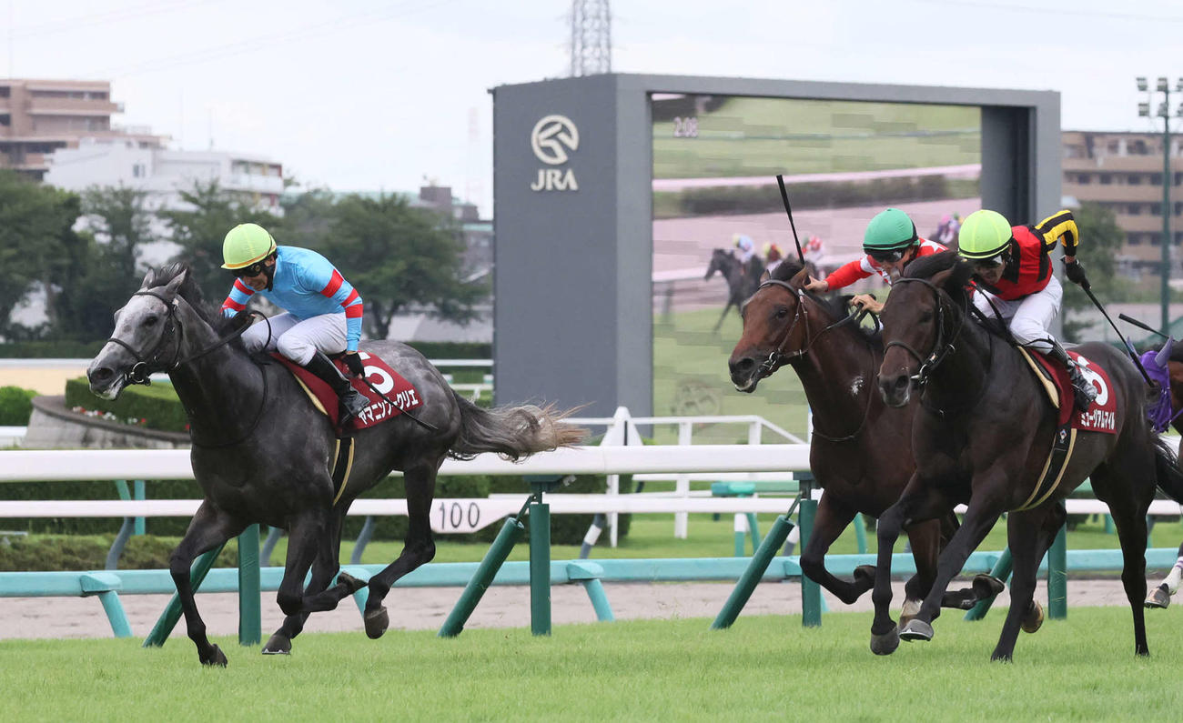 セントライト記念2着に入ったヤマニンブークリエ（左）。右は勝ったミュージアムマイル（撮影・丹羽敏通）