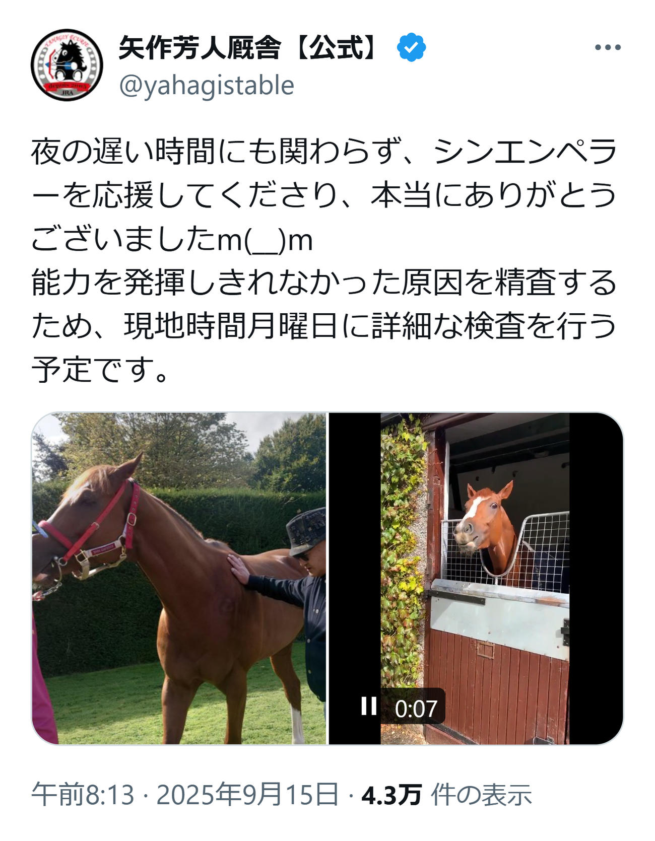 矢作厩舎のXから