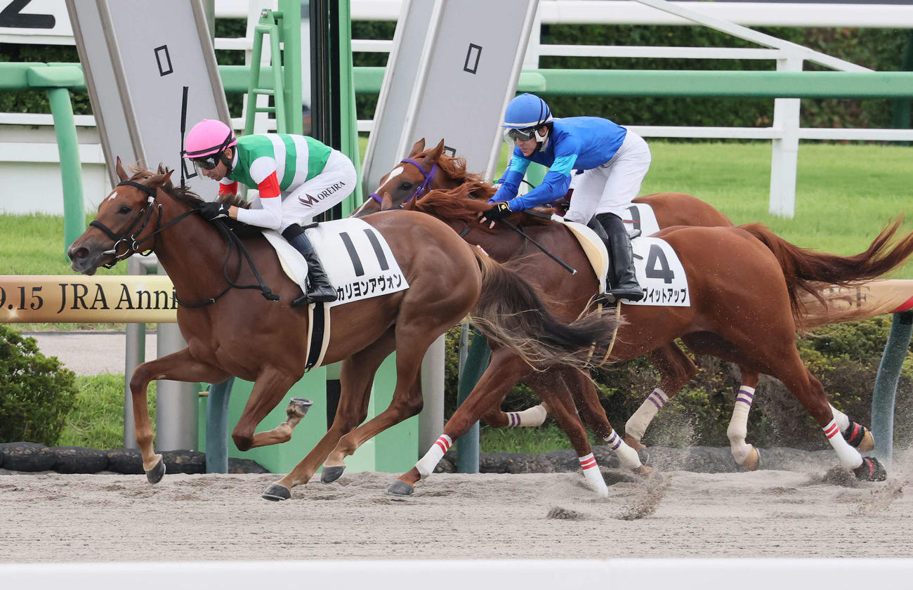 中山6R、2歳新馬戦を制したカリヨンアヴォンとモレイラ騎手（撮影・丹羽敏通）