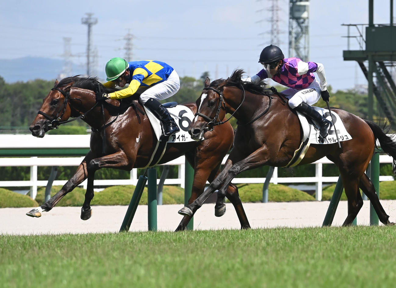 阪神5R、新馬戦を制したアイガーリー。右は2着のマサハヤルージュ（撮影・石井愛子）