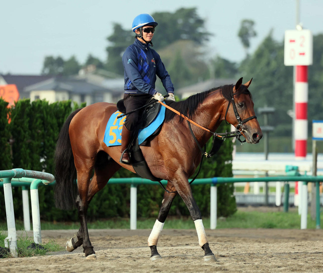 11日、追い切りを終えて馬場を出るドゥラドーレス