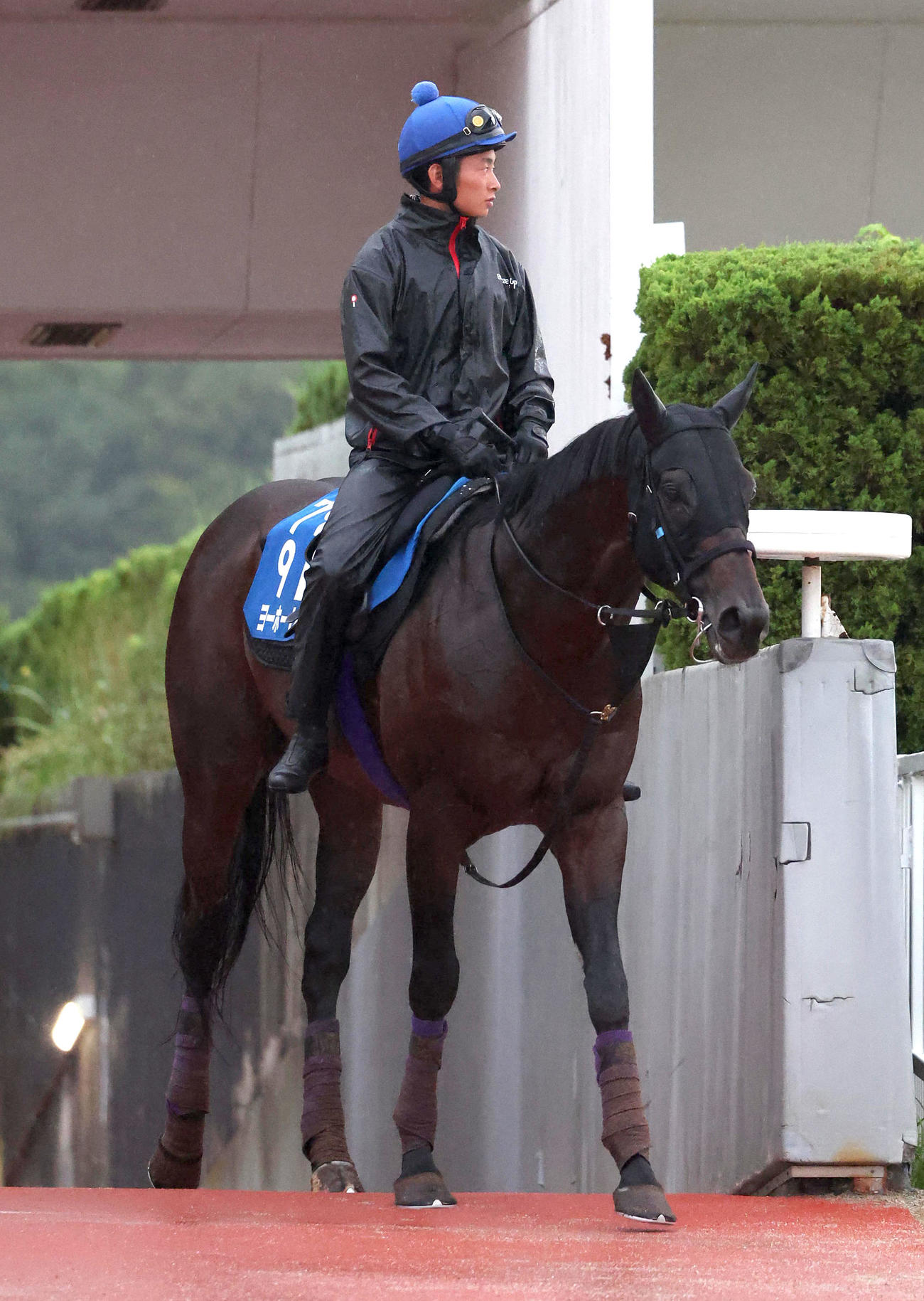 11日、岩田望騎手を背に調教から引き揚げるヨーホーレイク