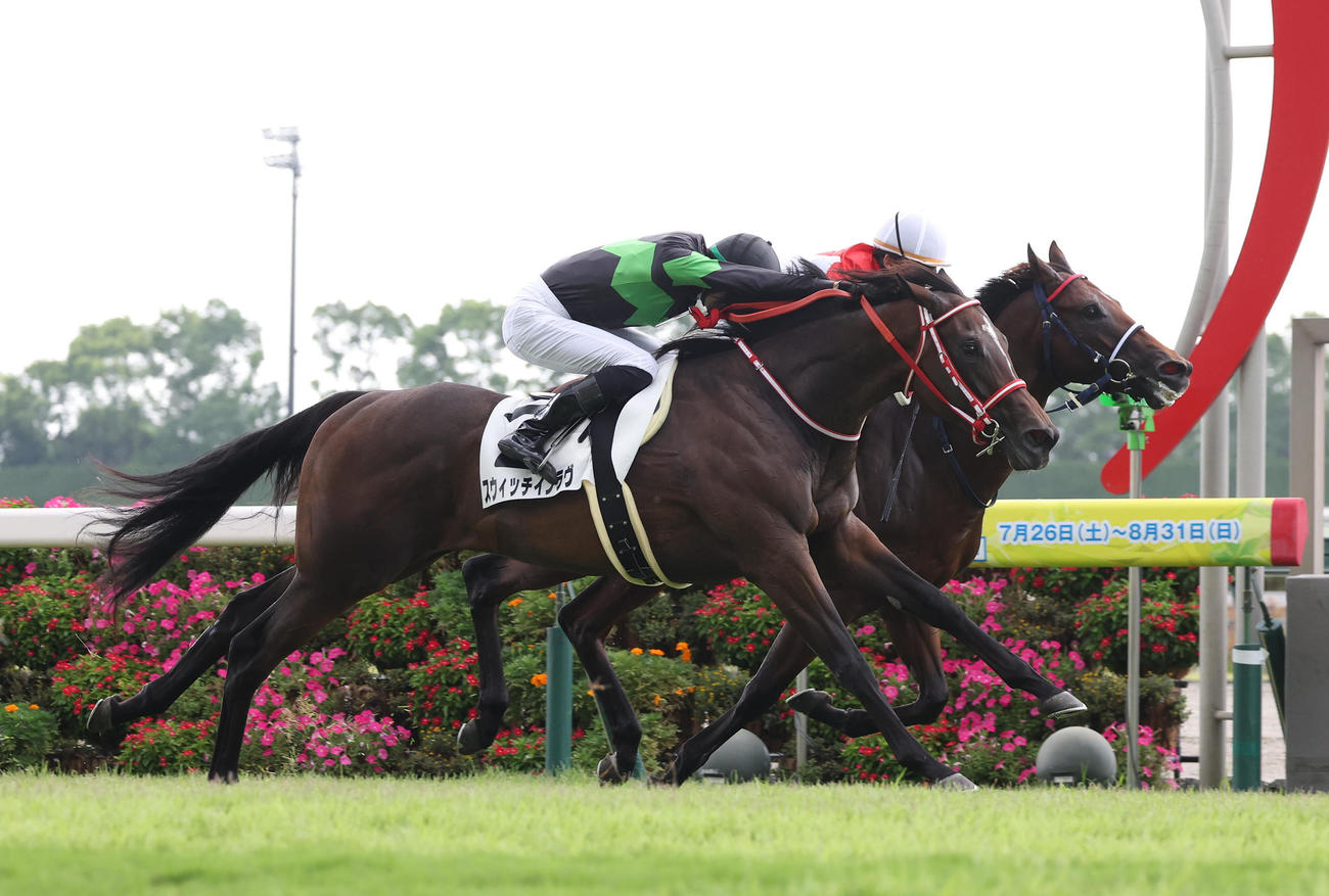 8月17日、新馬戦を制したスウィッチインラヴ（手前）