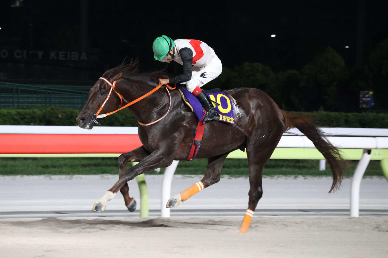 直線で抜け出し東京記念を制したマルカンラニと松崎騎手