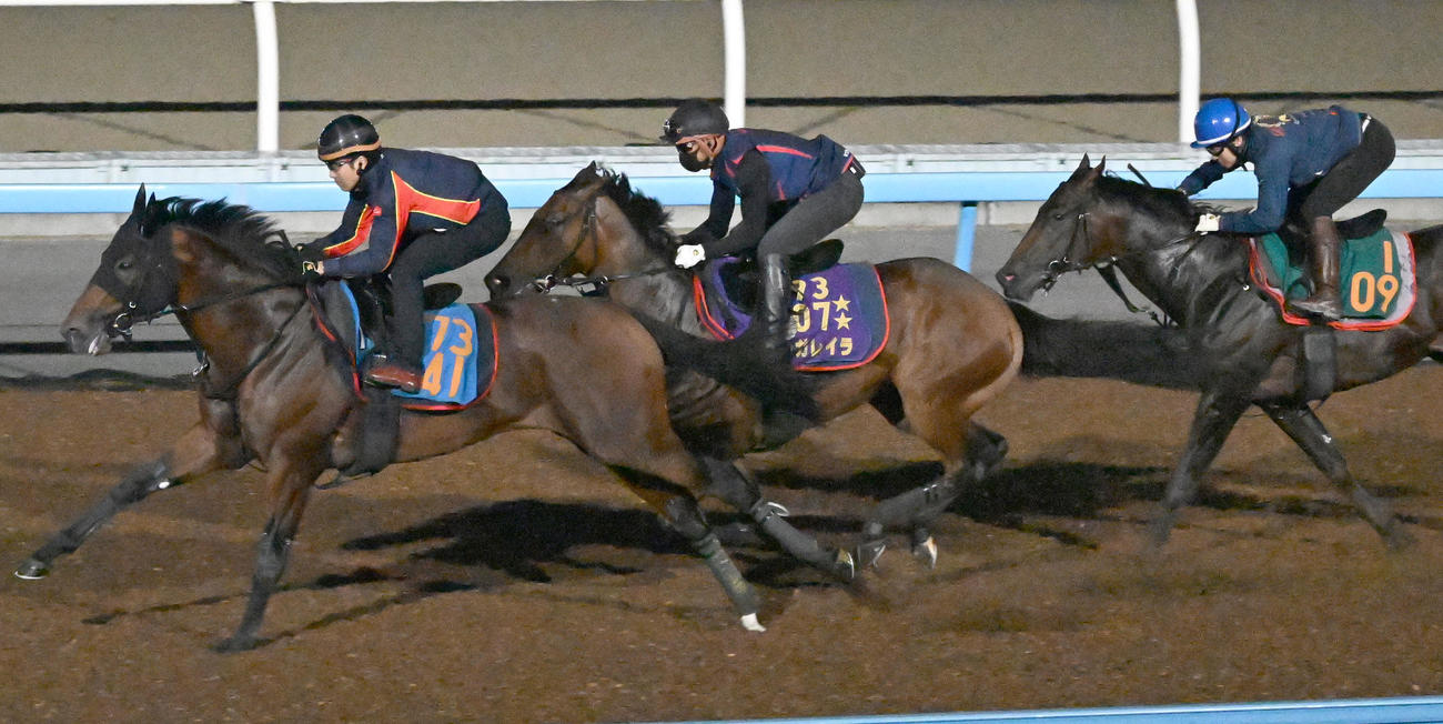 美浦ウッドを3頭併せで追い切るレガレイラ（中央）（撮影・千葉一成）