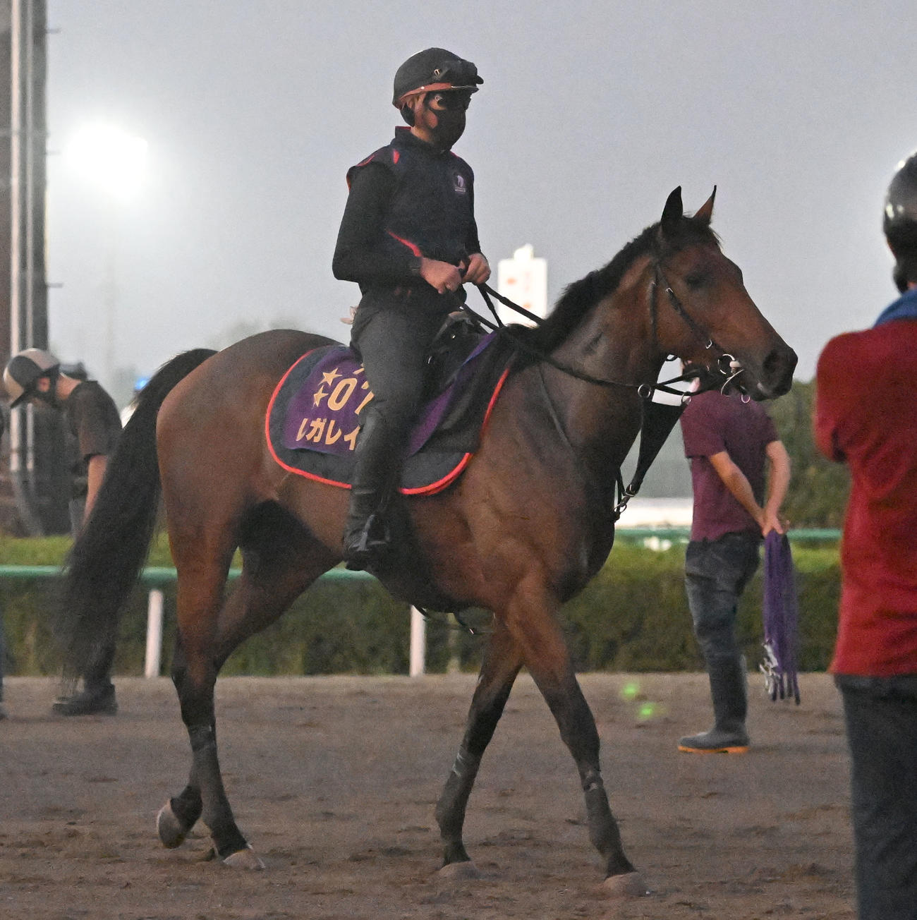 追い切りを終え、馬場を出るレガレイラ（撮影・千葉一成）