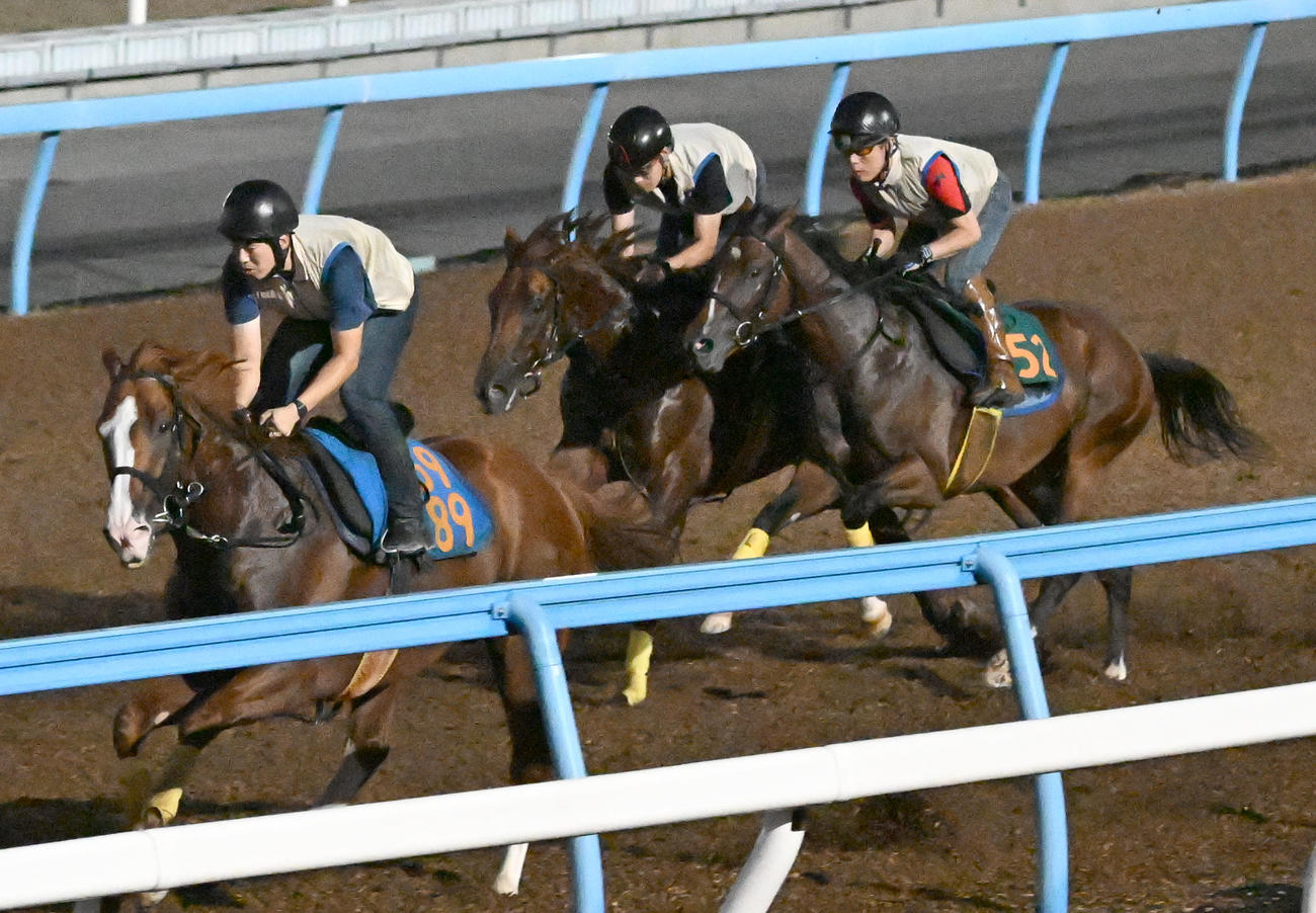 美浦ウッドを3頭併せで追い切るパッションリッチ（中央）（撮影・千葉一成）