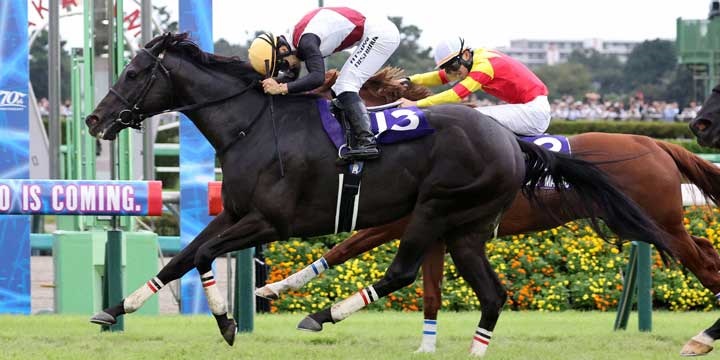 スプリンターズステークスを制したルガル（手前）＝２０２４年９月29日　中山競馬場