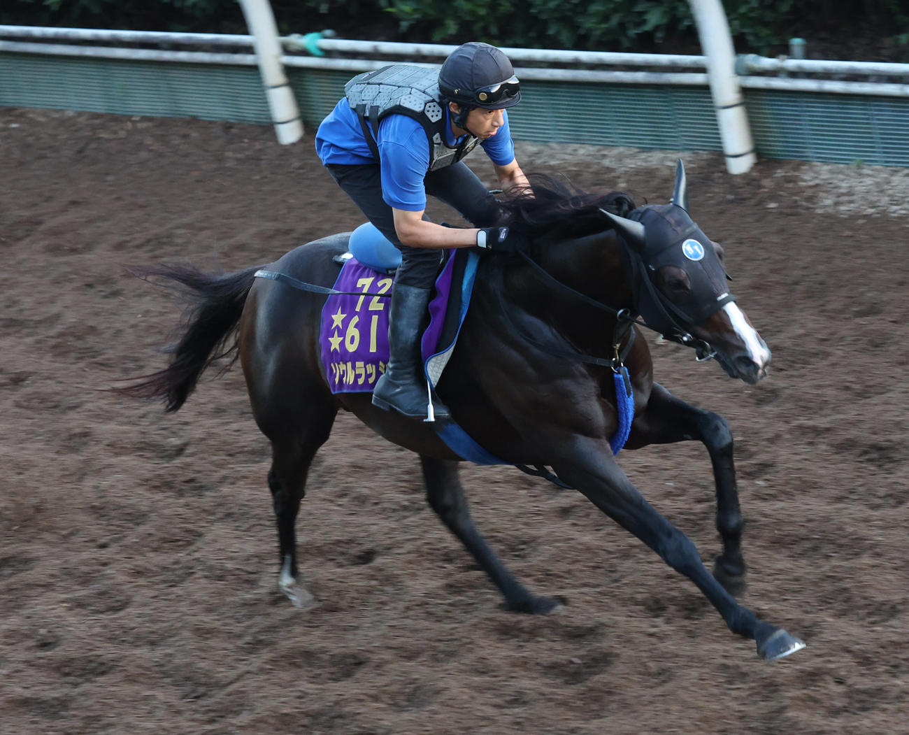 坂路で追い切るソウルラッシュ