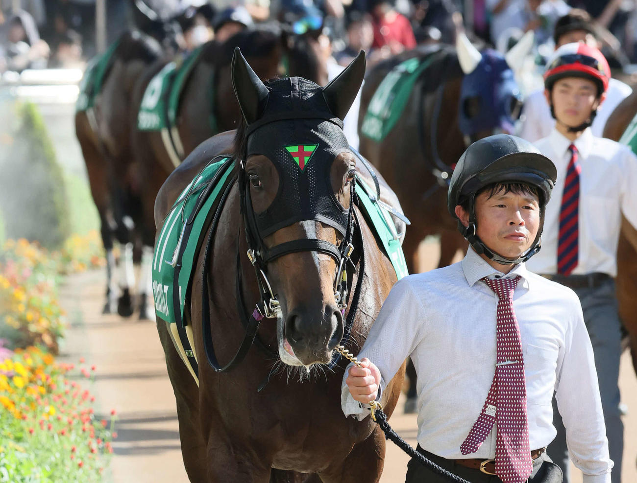 京成杯AH11着のエリカエクスプレス