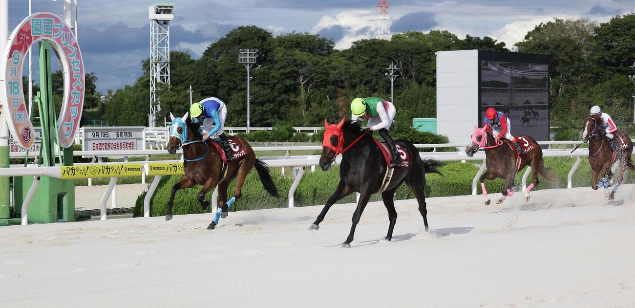園田プリンセスCを制したココキュンキュン（左から2頭目）