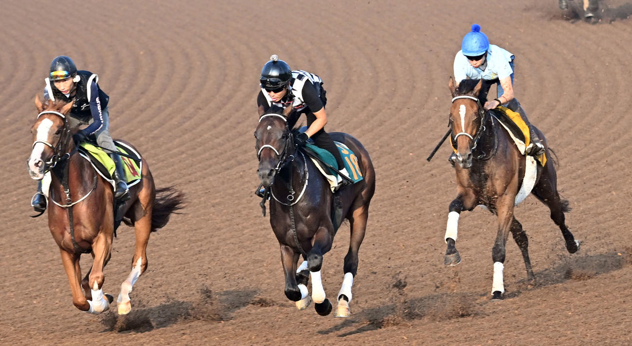横山武騎手を背に美浦ウッドを3頭併せで追い切るホーエリート（右）（撮影・千葉一成）
