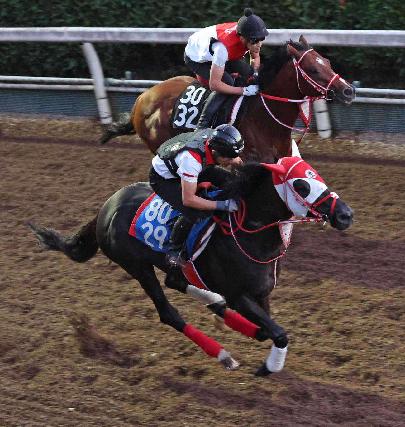 坂路を併せ馬で追い切るリビアングラス（手前）