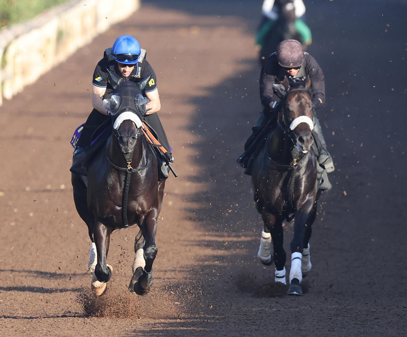 ルメール騎手を背に坂路を併せ馬で追い切るナムラクレア（左）（撮影・白石智彦）