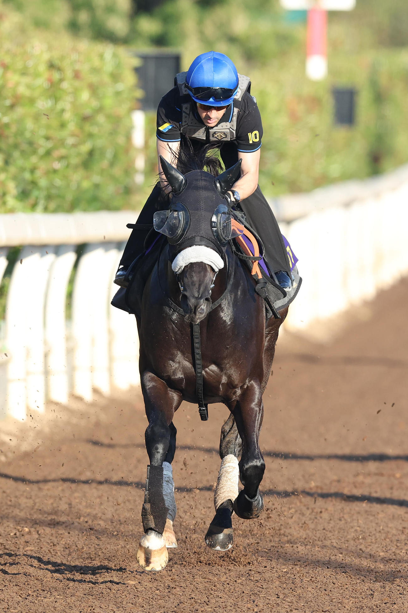 ルメール騎手を背に坂路を併せ馬で追い切るナムラクレア（撮影・白石智彦）