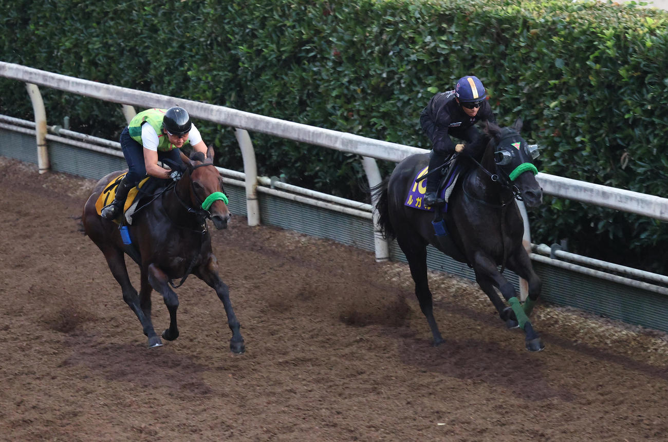 川田騎手を背に坂路を併せ馬で追い切るルガル（右）