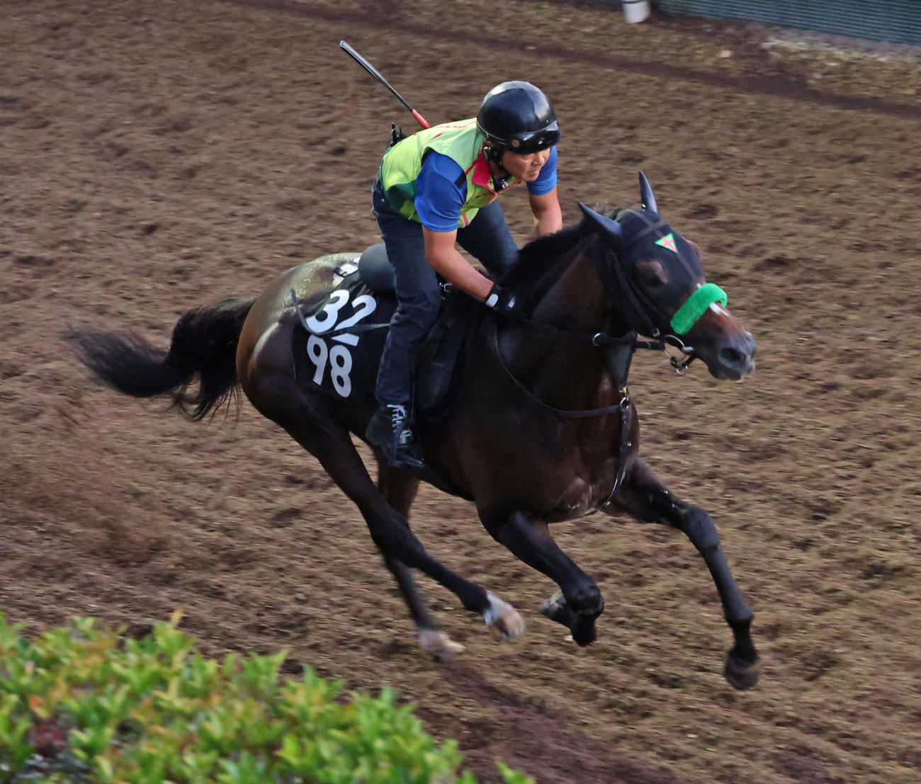 神戸新聞杯に向けて坂路で追い切るジョバンニ