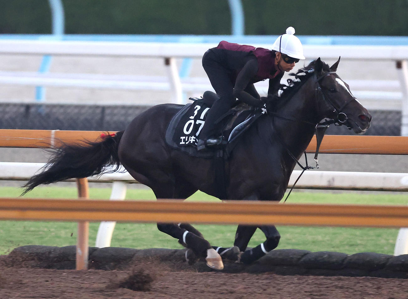 Cウッドを単走で追い切るエリキング（撮影・白石智彦）
