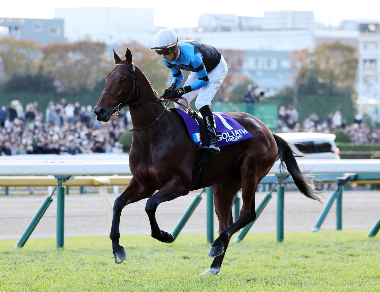 ジャパンCに出走したゴリアットとスミヨン騎手（2024年11月撮影）