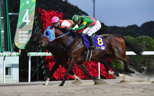 競走馬 202509190000468-w500_0.jpg