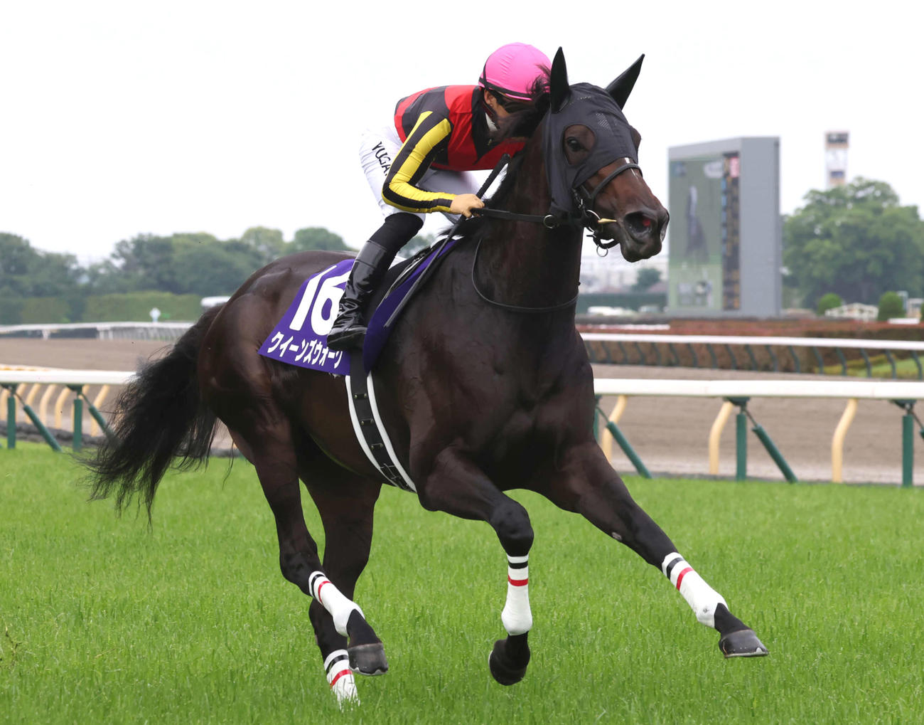 クイーンズウォーク